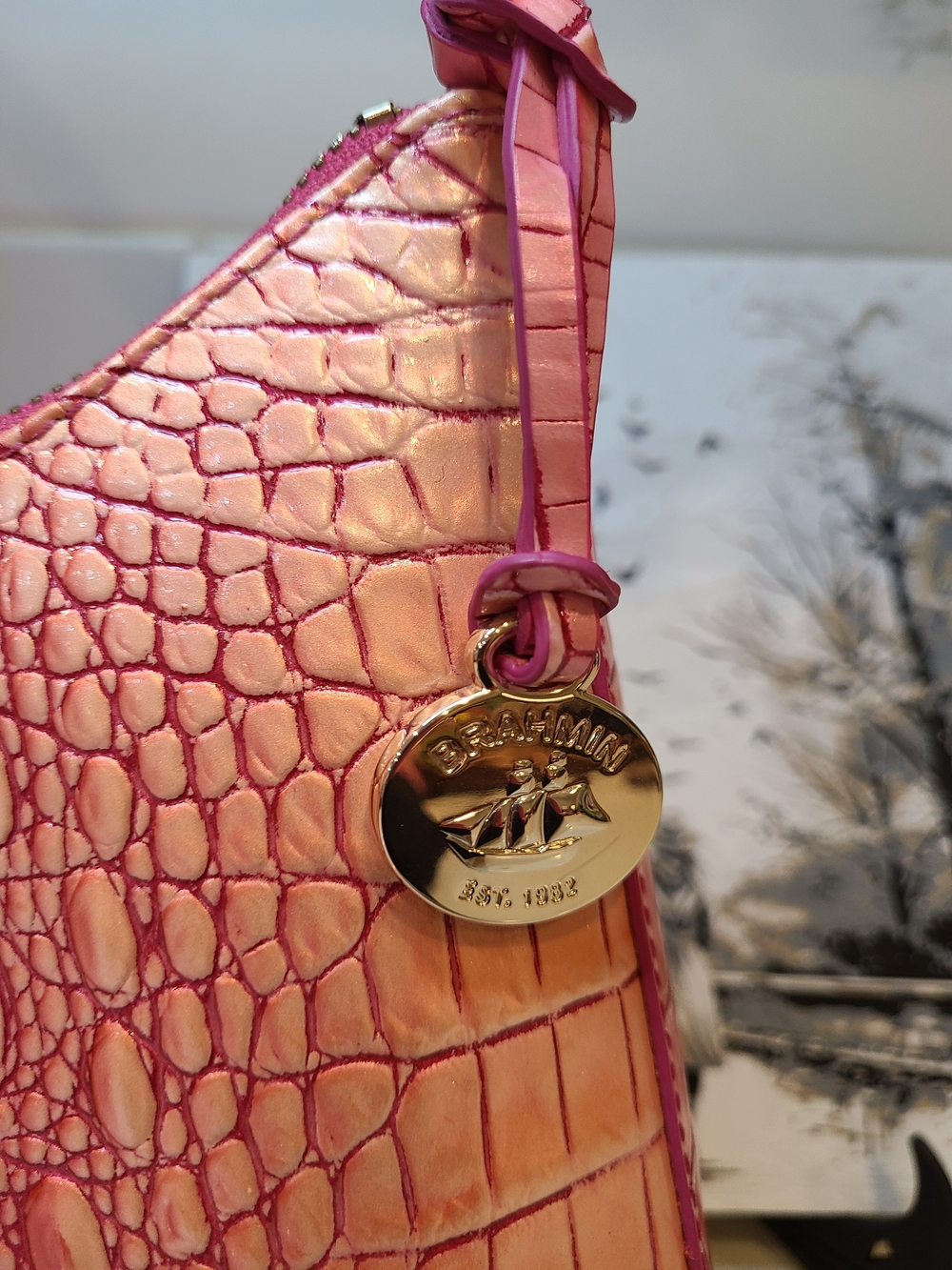 Brahmin Esme Cupid Ombre Melbourne - Picture 7 of 14